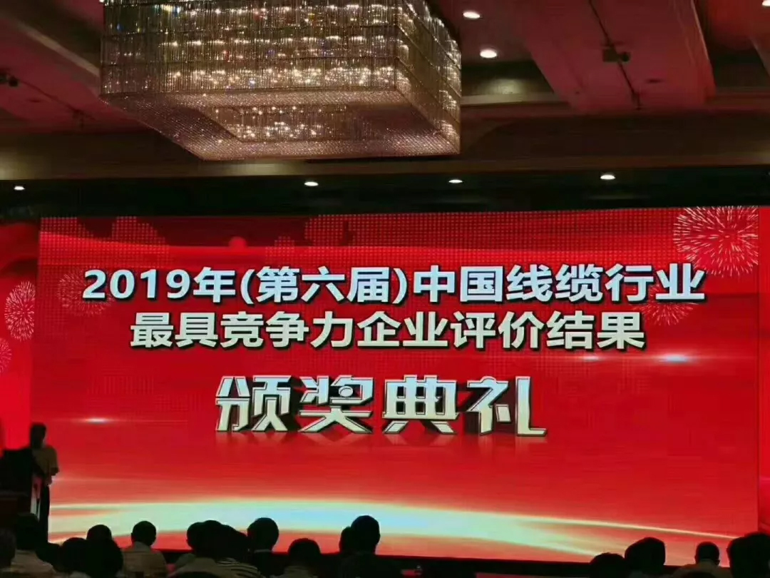 2019中國線纜行業(yè)100強企業(yè).jpg